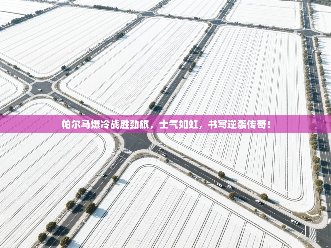 帕尔马爆冷战胜劲旅,士气如虹,书写逆袭传奇! 第2张